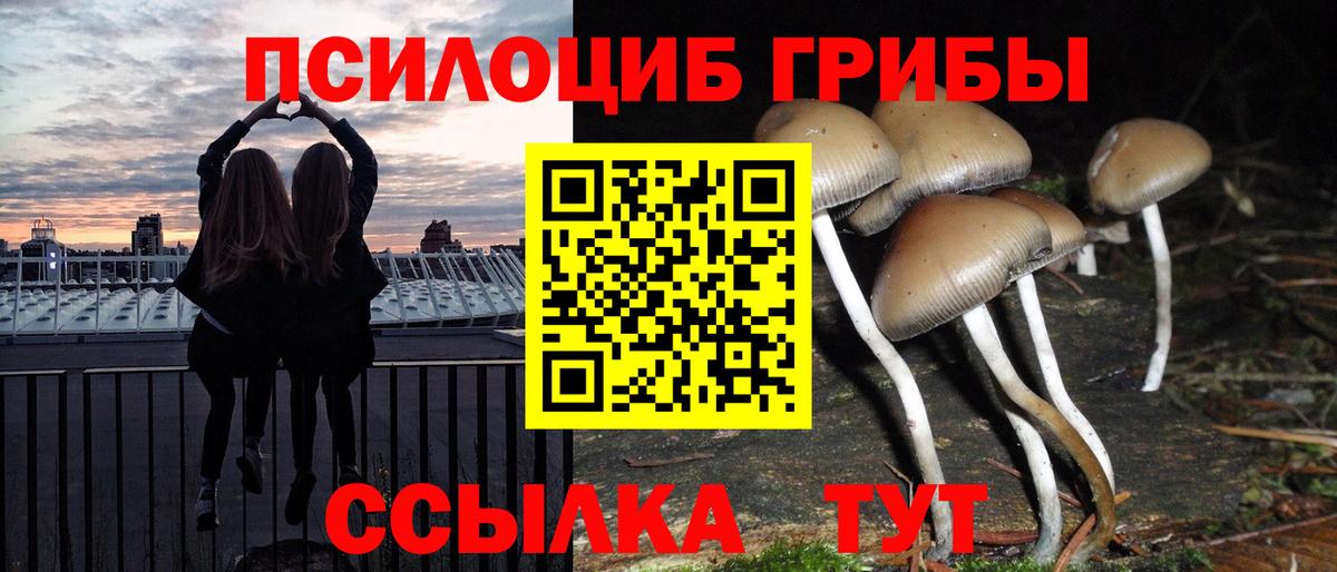 Псилоцибиновые грибы GOLDEN TEACHER Аша