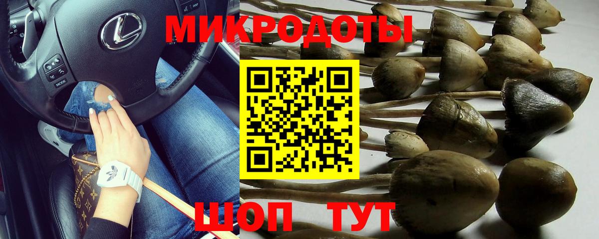 Аша  Псилоцибиновые грибы Psilocybine cubensis  что такое наркотик  Вход с VPN  Галлюциногенные грибы Psilocybine cubensis 